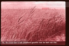 Onze Twaalfde Provincie II