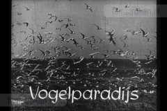Opgeweld uit Wier en Zand 2