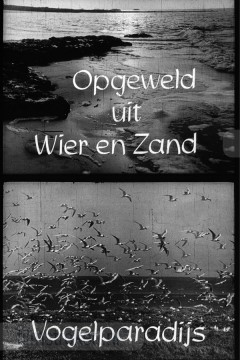 Opgeweld uit Wier en Zand 2