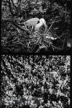 Opgeweld uit Wier en Zand 2 Opgeweld uit Wier en Zand 2