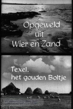 Opgeweld uit Wier en Zand 3