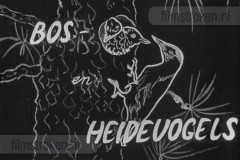Bos- en Heidevogels