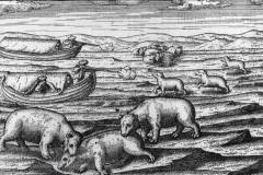 De Overwintering op Nova Zembla