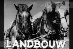 Landbouw