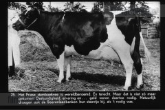 Groeizaam Geld Groeizaam Geld