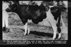 Mens, Dier en Plant, Strijd Tegen Ziekten