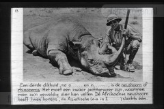 Zuid-Afrika III