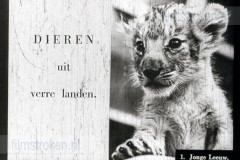 Dieren uit Verre Landen