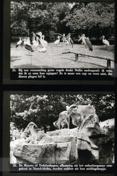 Dieren uit Verre Landen