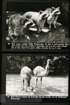 Dieren uit Verre Landen