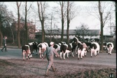 In en om de Boerderij IV - In de Herfst