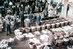 België 1 - La Belgique