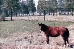 België 1 - La Belgique