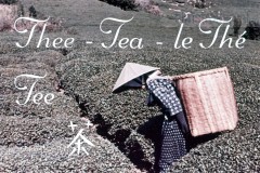 Theecultuur in Japan