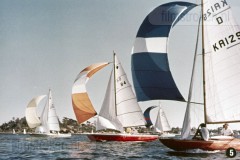 Australië 3 - De Bevolking