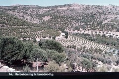 Spanje I - España