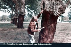 Frankrijk II - La France