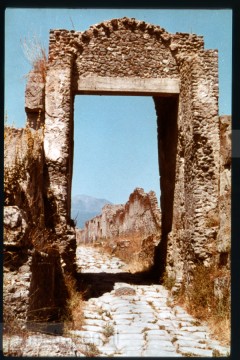 Romeinse Cultuur