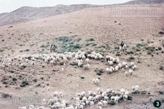 Zuid-Afrika II - Landschap, Flora en Fauna